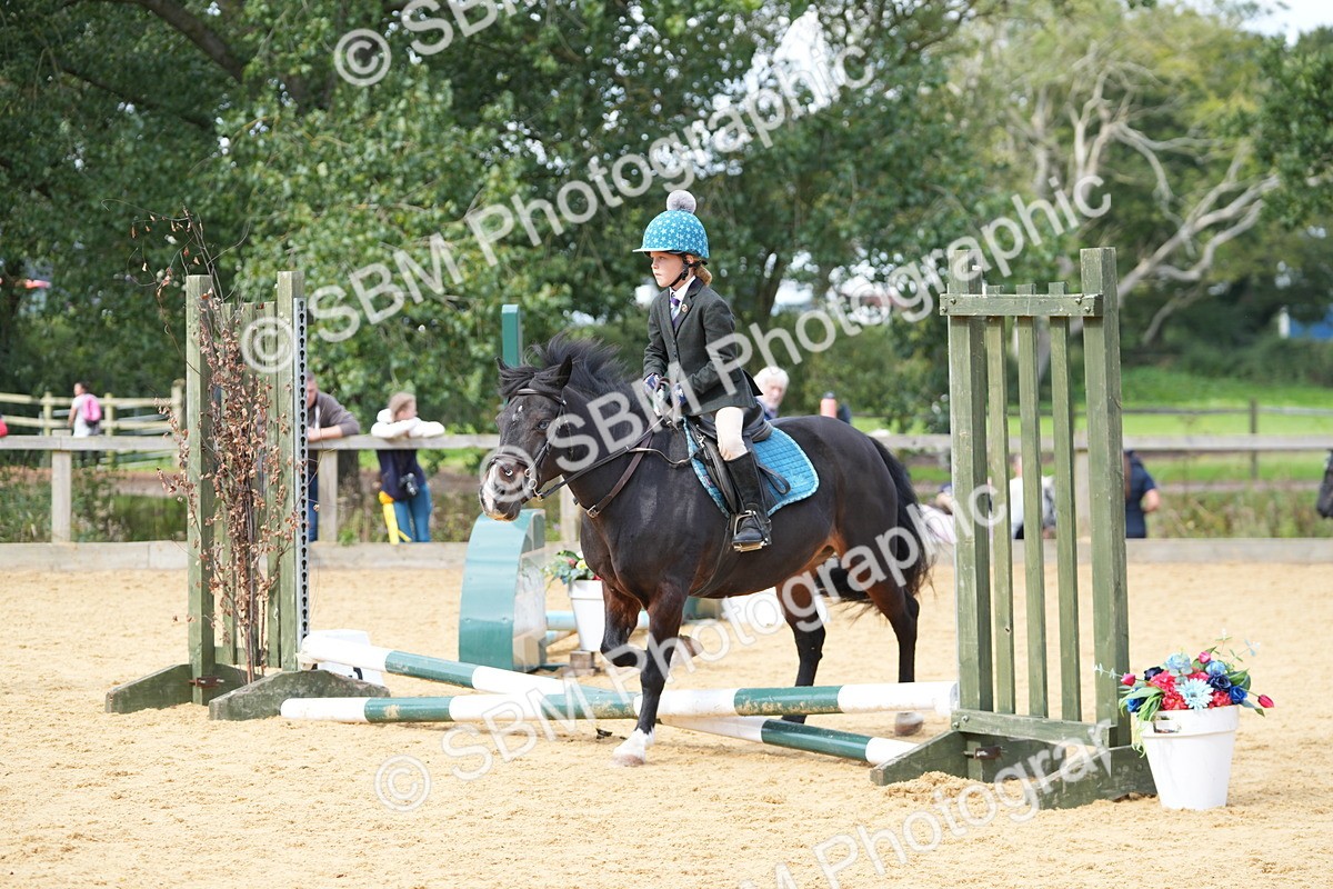 SBM_64571 - J2 - Mini Tour Junior Pony 30cm Championship