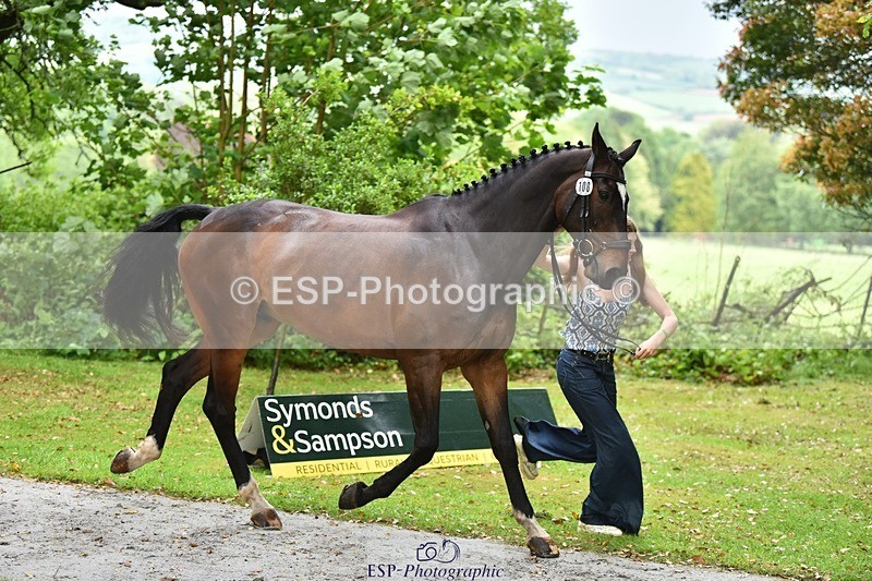 240522-155748-00609 - 108-DROUGHTVILLE_MIKE-Georgina_Beeby_Wynn