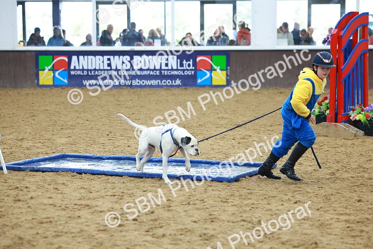 SBM_002308 - Class 3 - Horse & Hound (60cm)