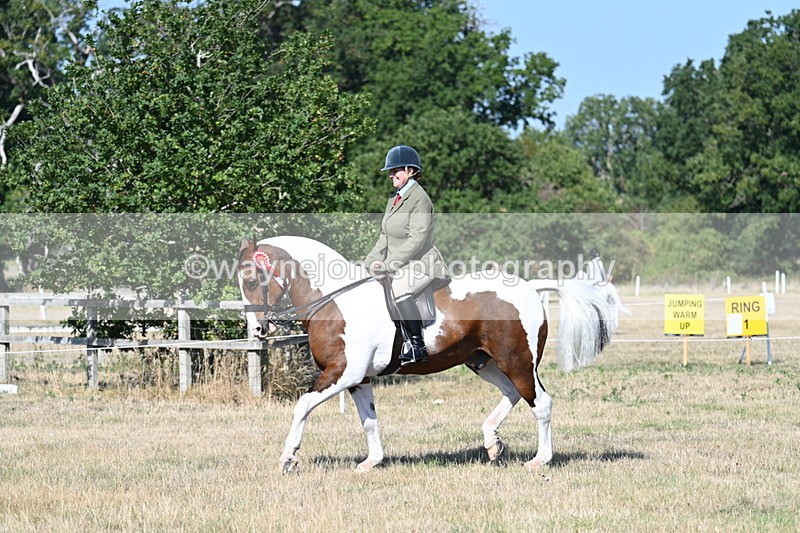 WJ7_3251 - Class 8 Ridden Tack & Turnout