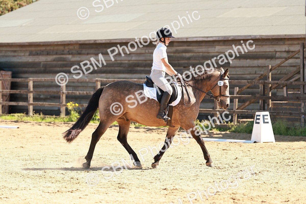 SBM_010617 - Class 4 - Prelim 3