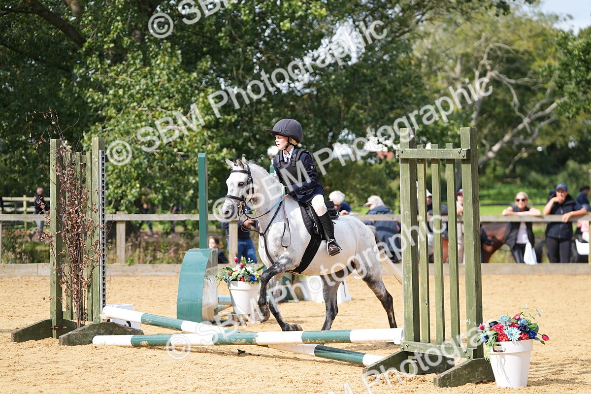 SBM_65659 - J2 - Mini Tour Junior Pony 30cm Championship