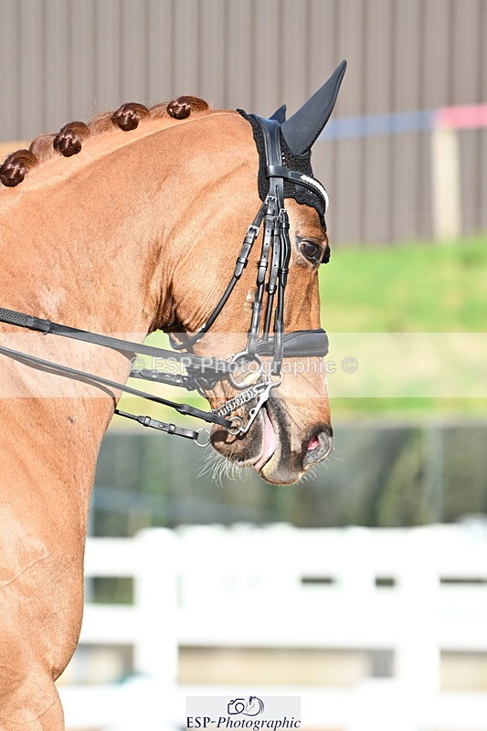 240218A-144847-08226 - 219-Jessica.Davies-Kadanz.II