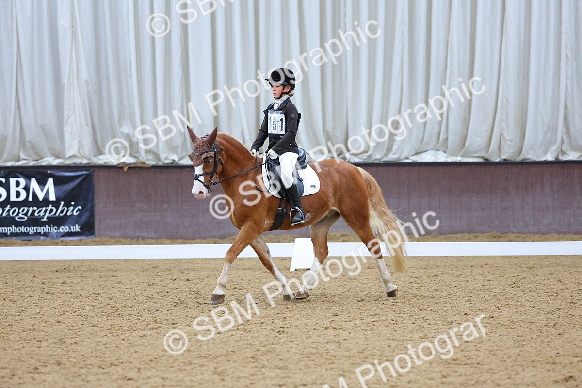 SBM_004206 - Intermediate