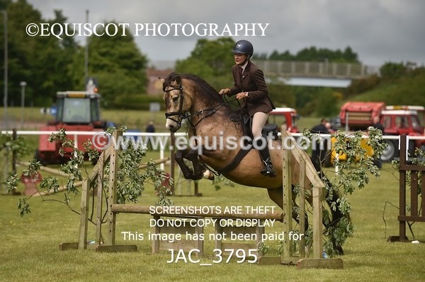 JAC_3795 - 65cm WORKING HUNTER