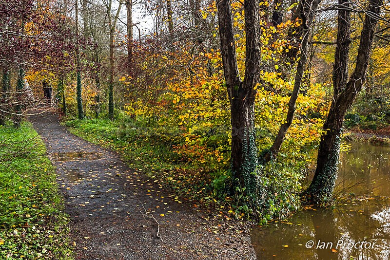 Autumn at Fork Junction - Autumn