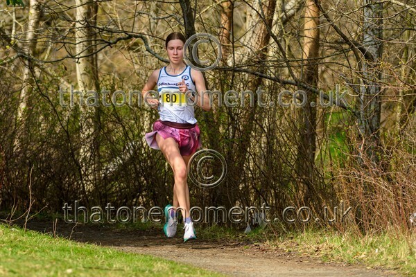 Livi26-929040 - Female Set One