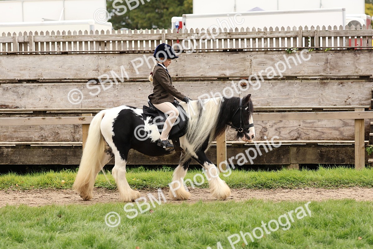 SBM_64375 - S58 - Coloured Pony Ridden