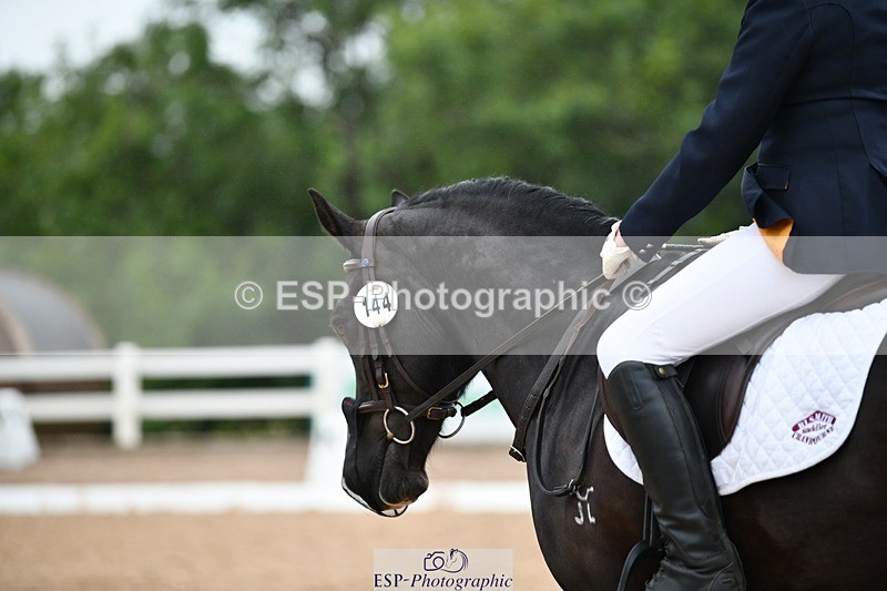 250705-113754-00435 - P1 Sections BDP1SNR BDP1JNR 11.07 to 12.27