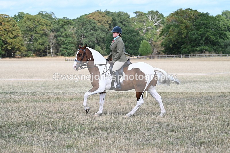 WJ7_6954 - Class 14 Ridden Coloured