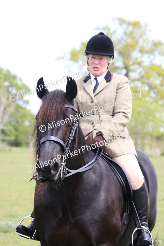 20260426-3041 - Class 33 - Best Pony 14.2hh and Under