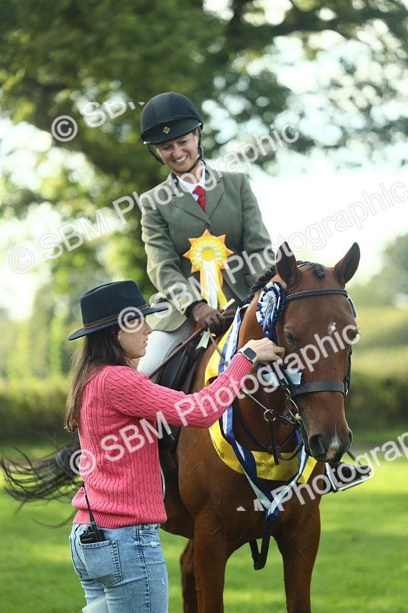 SBM_52298 - Working Hunter Supreme Championship