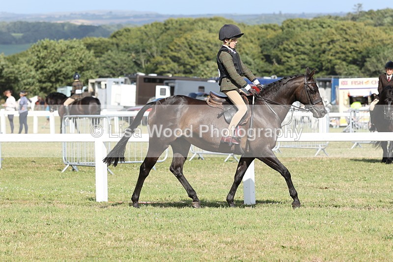 JPP_2864 - Class 20: Working Hunter 70cm