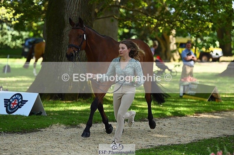 230524-154848-00519 - 377-GOLD_NUGGET-Jillian_Giessen-WEDTrotUp+DR