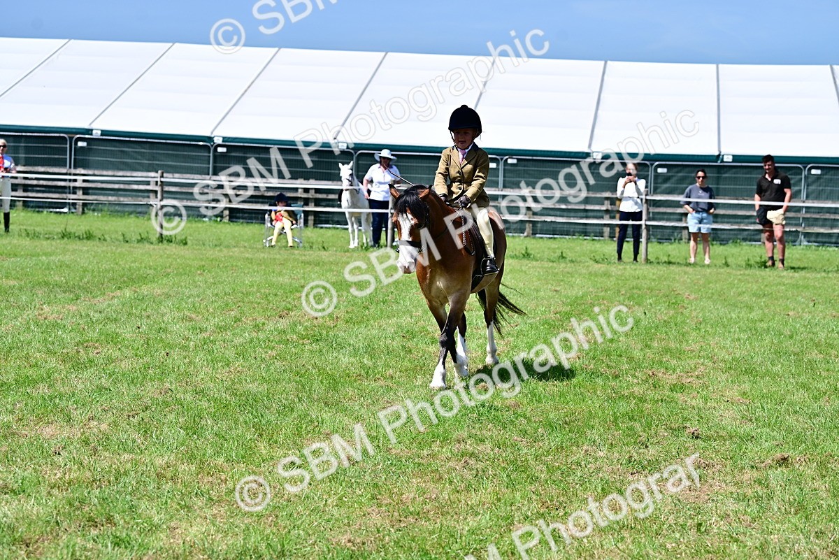 SBM_06108 - Class 59-60 - TSR M&M  Lear Rein and First Ridden Amateur of the year