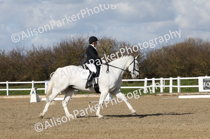 20260314-4898 - CT6 - Elementary 1