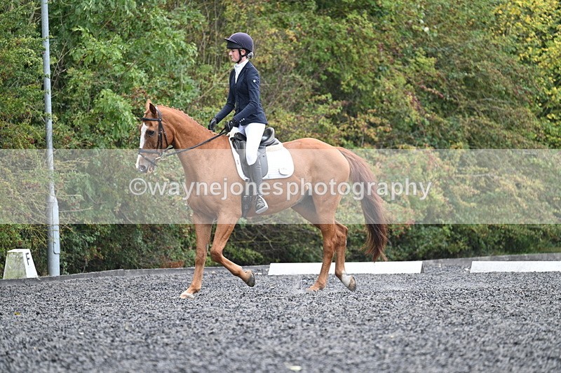 WJ7_6639 - Time 14:49 to 15:14