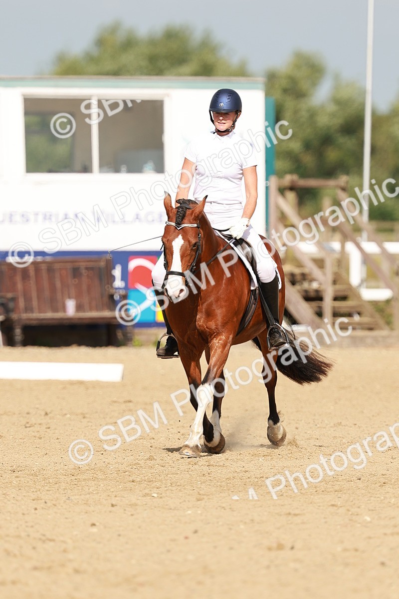 SBM_021317 - Class 13 - N5