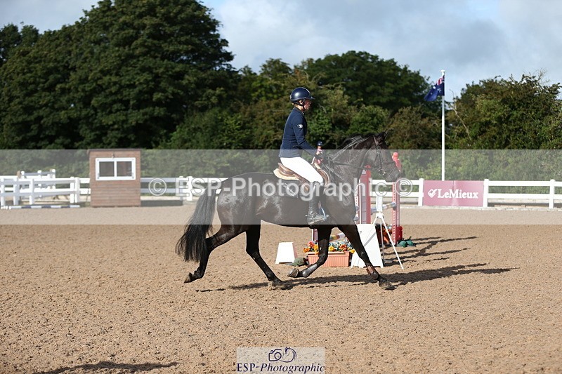 230811A-090052-02760 - Cls 13 A&B Snr Brit Nov & 90cm Open