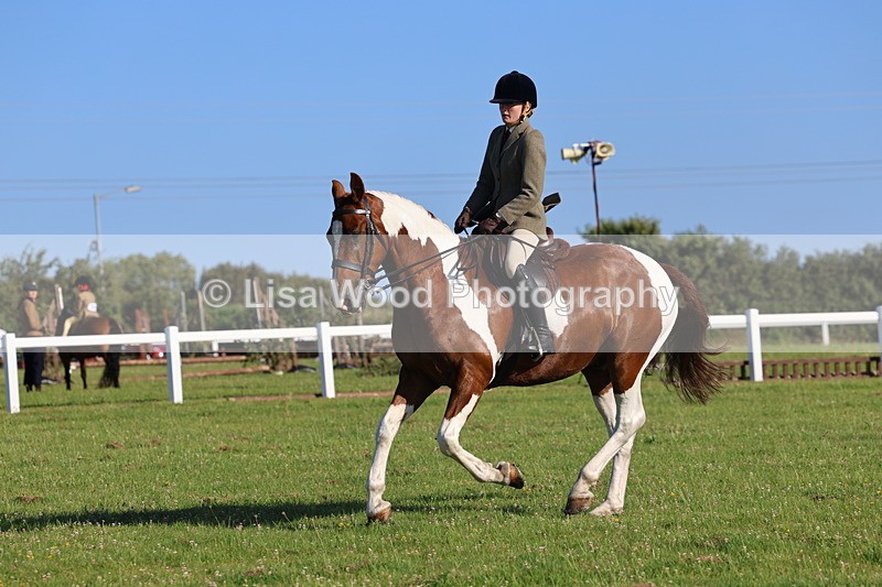 IMG_1267 - Class 27: Ridden Plaited Coloured Horse
