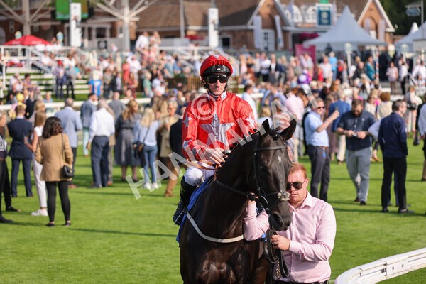 yr05092021r5-1 - Race 5 4.20pm Little Green Rascals Children's Nurseries Stakes