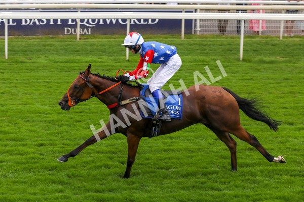 100923-Pony Race 1-Seal The Deal-3661 - Pony Race 1 12.25 The Dragon (TV and Film) Studios Pony Race 148cm & Under