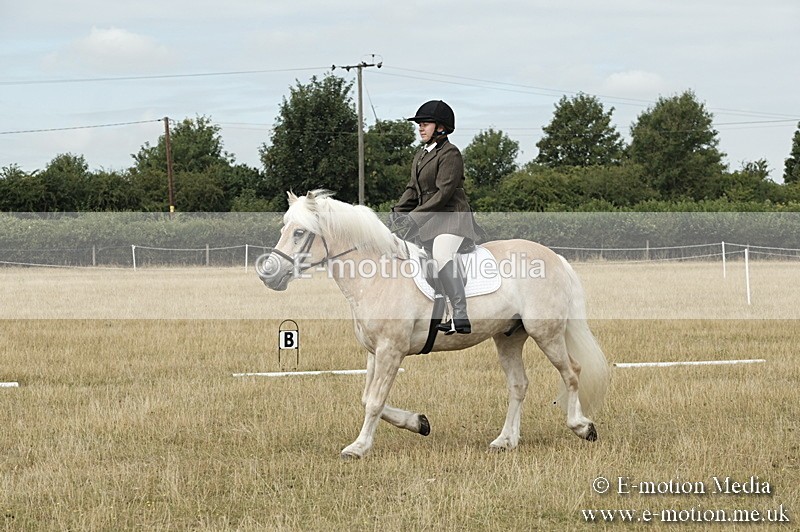 _PJP5741 - Dressage Classes BVRC Show 2018