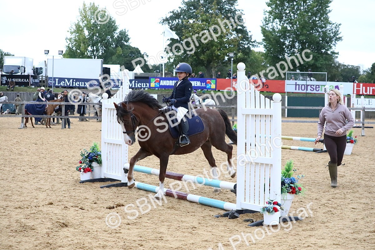 SBM_68338 - J3b - Mini Tour Junior Pony 40cm Championship