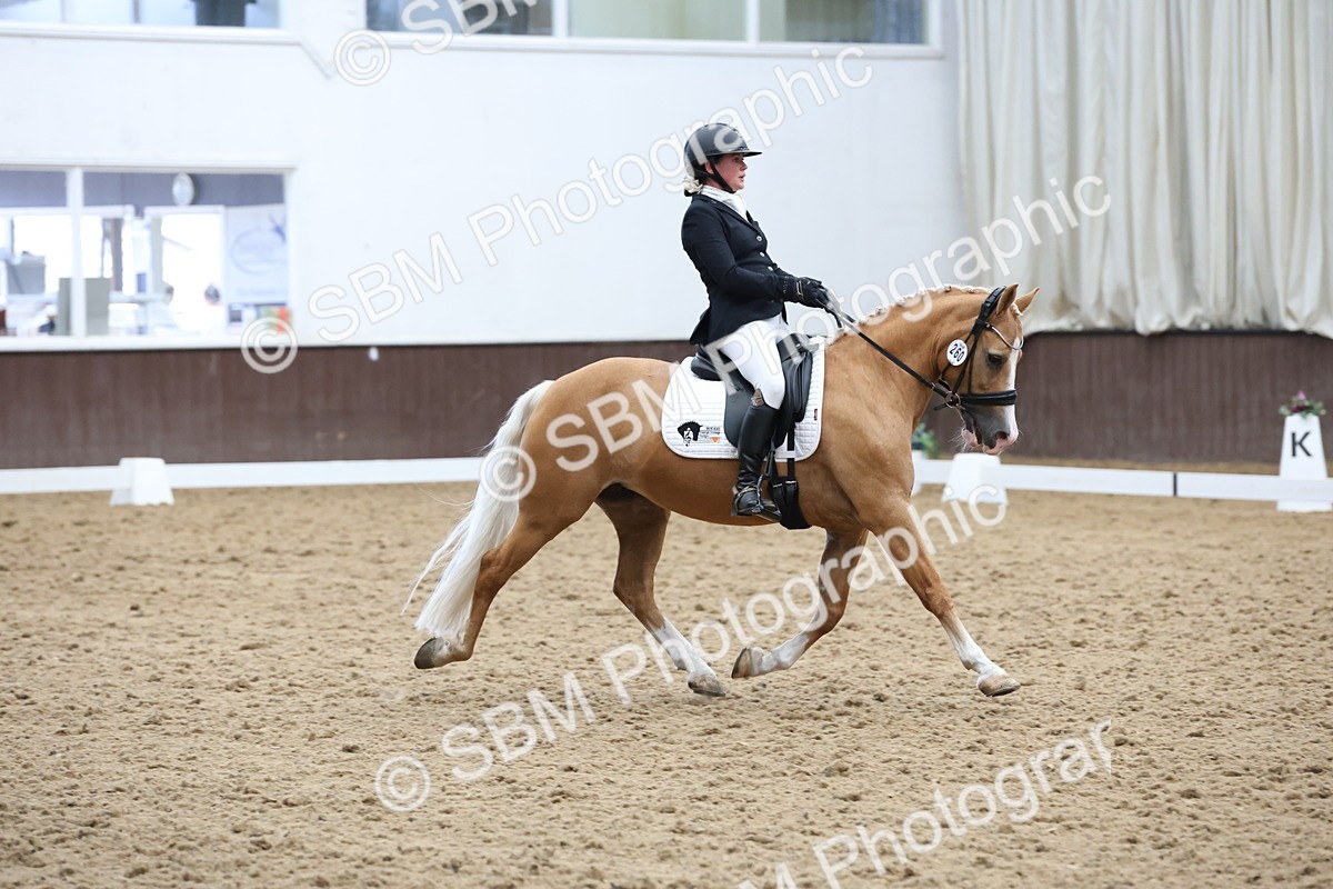 SBM_007563 - Class 23 - Medium FSM Bronze