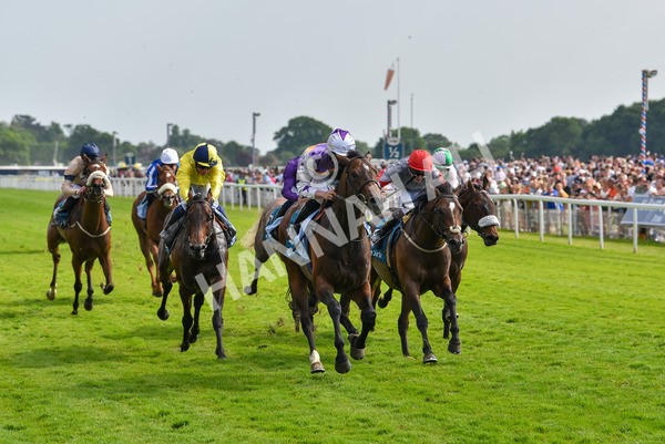 270523-Race 6-Quantum Impact-4551 - Race 6 4.25pm Royal Yorkshire Regiment Handicap