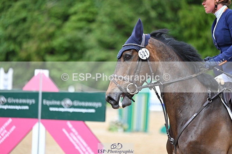 240525-152125-17695 - 521-DIVALI-Elaine_Pen