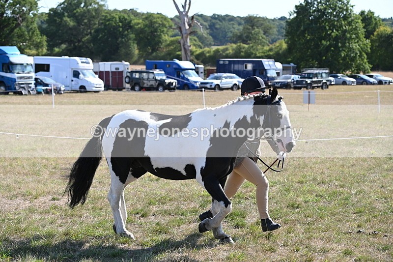 WJ6_7512 - Class 34 Judges Choice