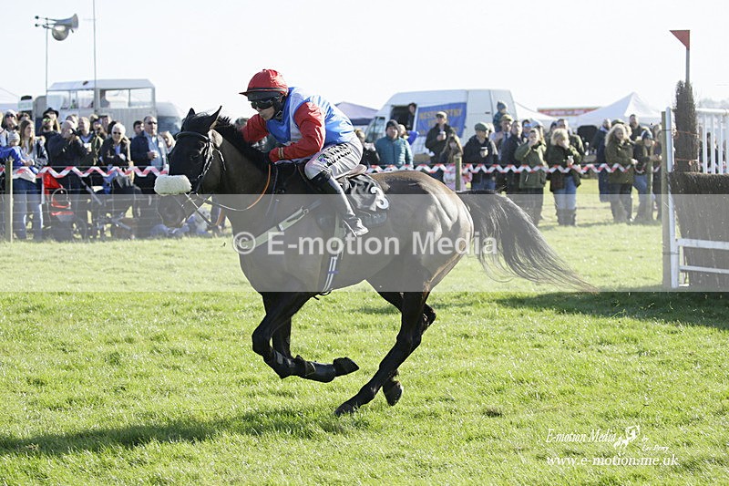 PtP 300122 50 - South Dorset Hunt - Point-to-Point Races 30/01/2022