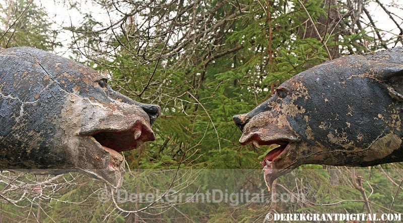 Animaland Sussex New Brunswick Canada - Animaland