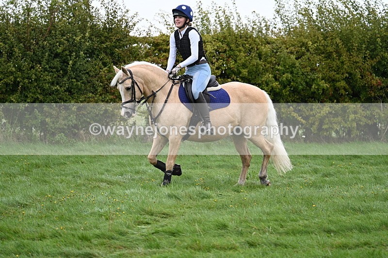 WJ7_7622 - Time 10:05 to 10:30  (3 cameras)