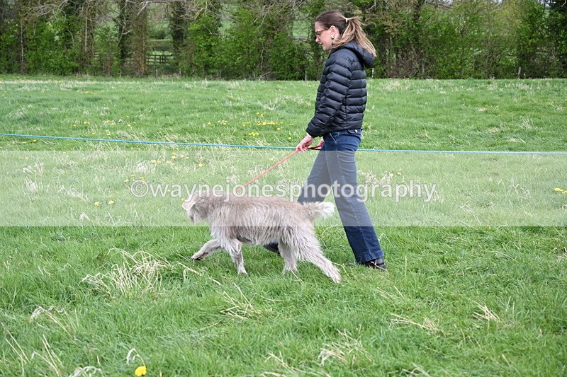 WJ6_8068 - Class 2 Best Pedigree