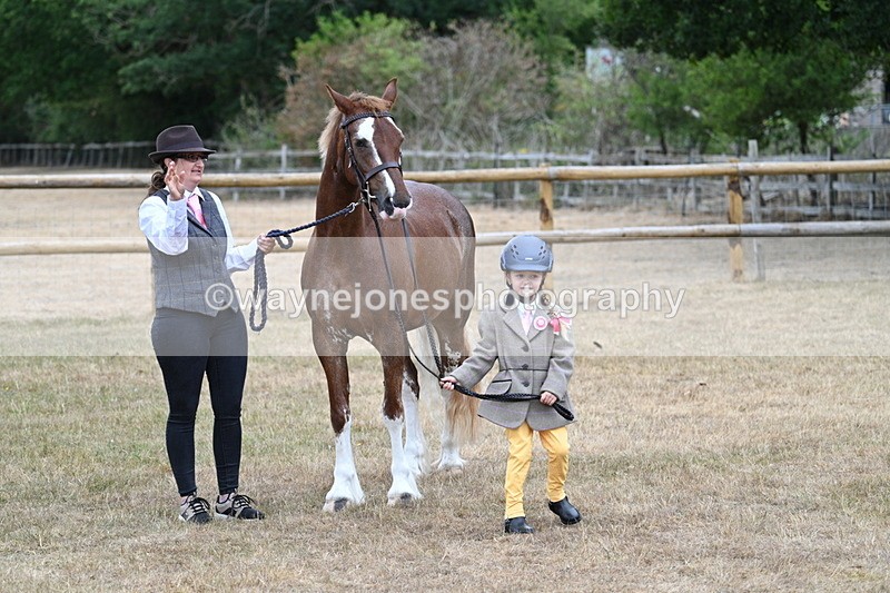 WJ7_8174 - Class 4 Prettiest Mare up to 14.2hh