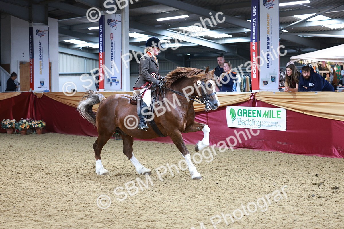 SBM_18919 - Class 952 - M&M Ridden Supreme Final