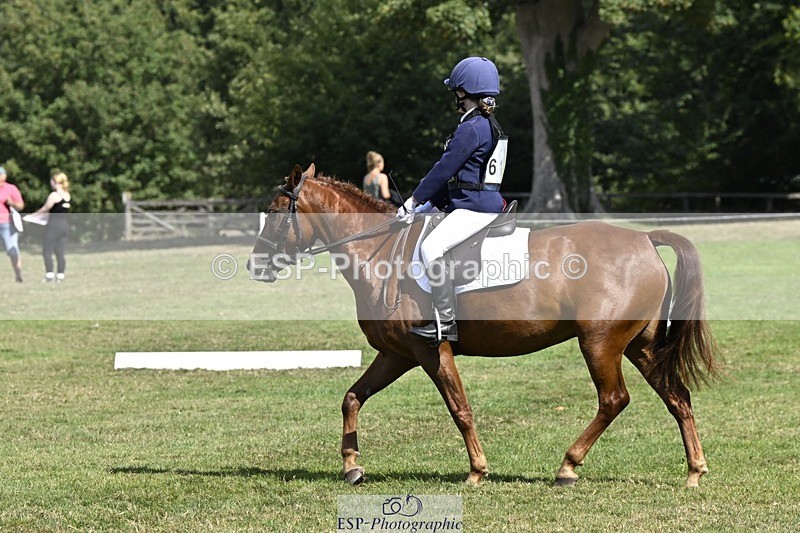 250822A-111918-22199 - DR 11.00 to 12.00