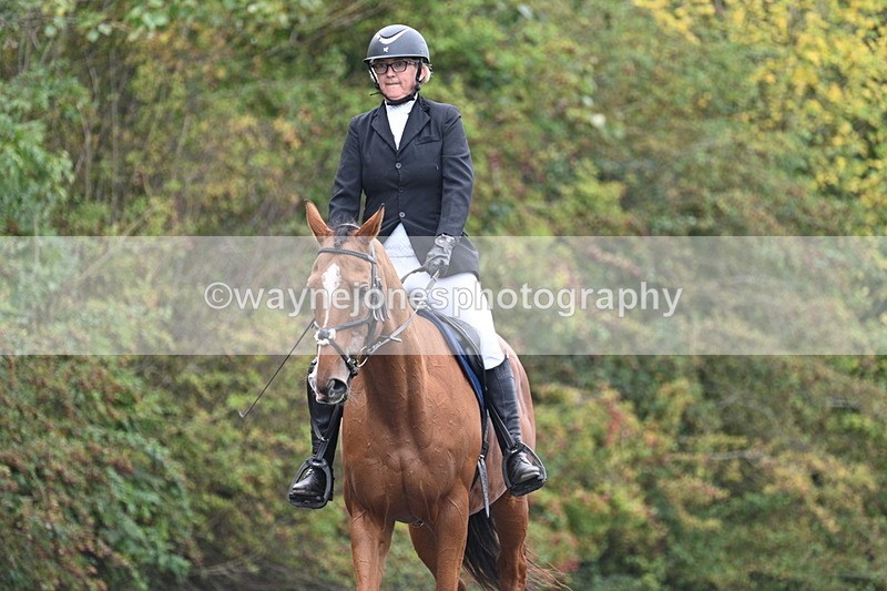 WJ7_3460 - Time 09:54 to 10:54