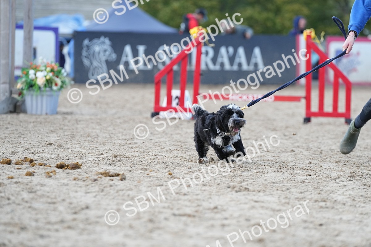 SBM_29188 - J43 - Horse & Hound Open 50cm