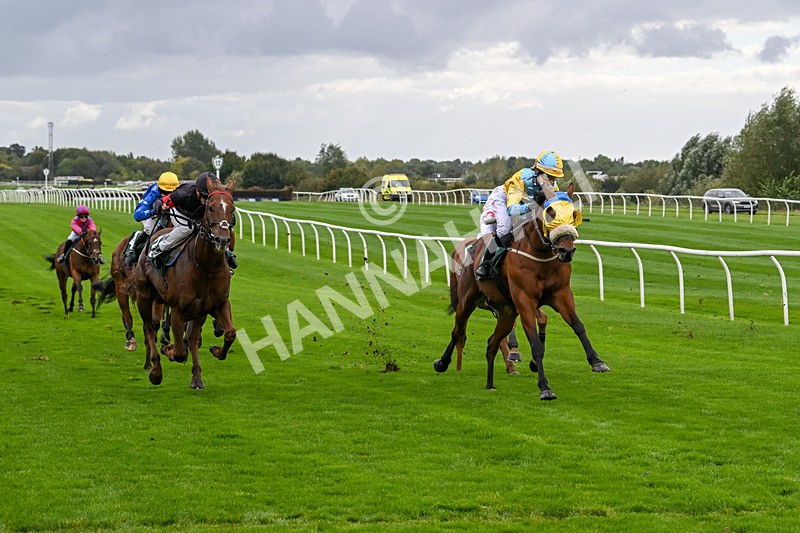 021024-Race 1-Foreseeable Future-8995 - Race 1