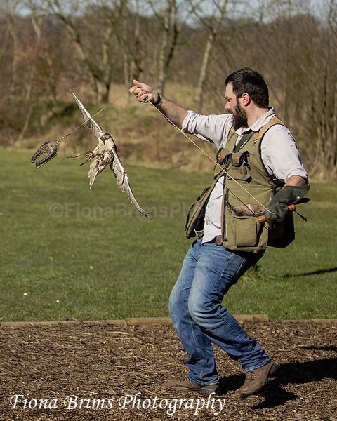 WowPD Mar17-182 - Birds of Prey