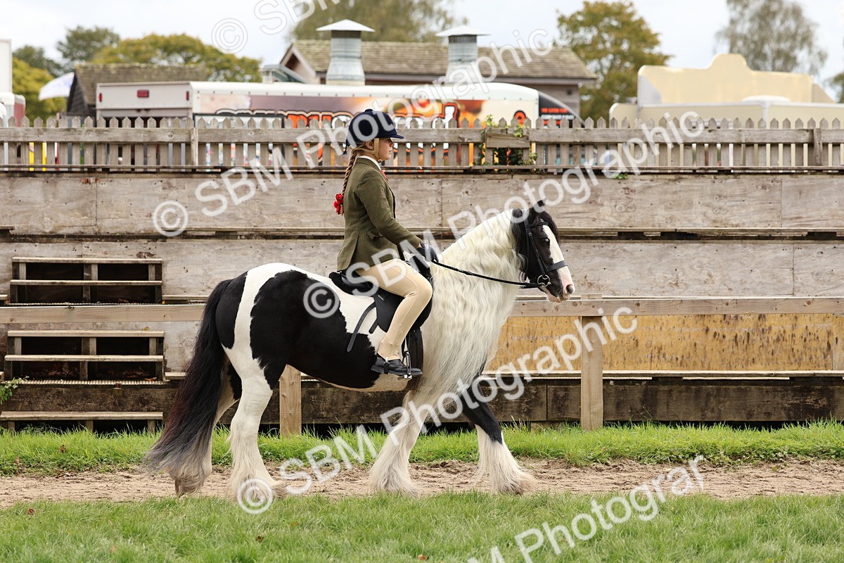 SBM_64358 - S58 - Coloured Pony Ridden