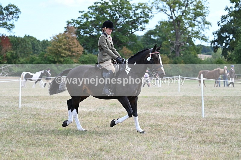 WJ7_5931 - Class 13 Ridden Veterans