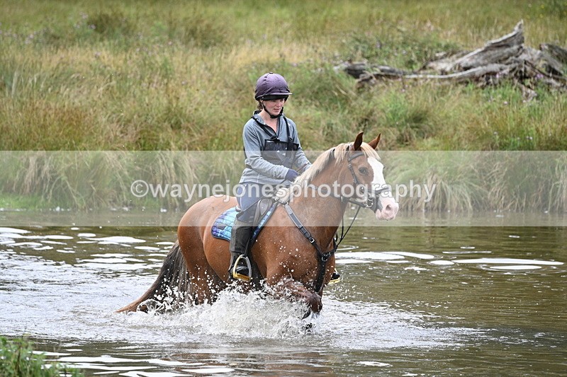 WJ7_0803 - Time at Water 09:19 to 10:04