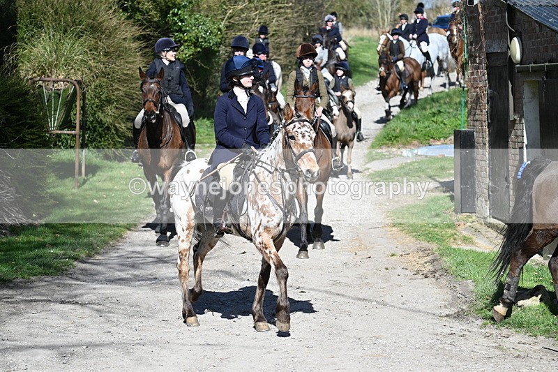 WJ7_9719 - Home for hunt tea !