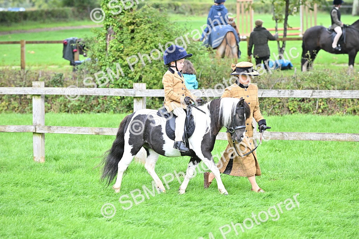 SBM_40127 - S20 - Lead Rein Mountain & Moorland Pony