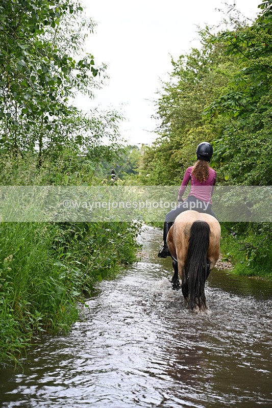 WJ7_2052 - Camera 2 Water Crossing