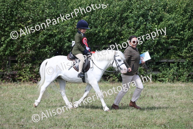 20250831-3269 - Class 24 - Absolute Beginners Pony